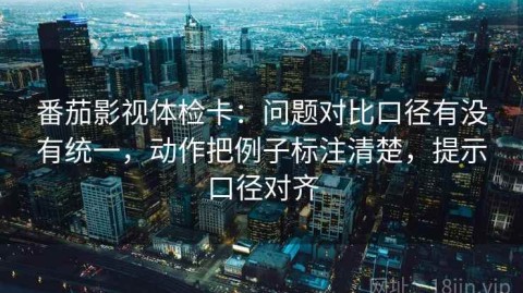 番茄影视体检卡：问题对比口径有没有统一，动作把例子标注清楚，提示口径对齐