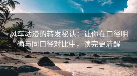 风车动漫的转发秘诀：让你在口径明确与同口径对比中，读完更清醒