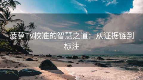 菠萝TV校准的智慧之道：从证据链到标注
