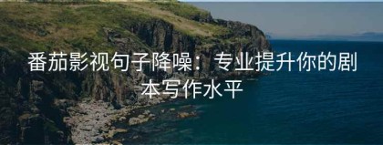 番茄影视句子降噪：专业提升你的剧本写作水平