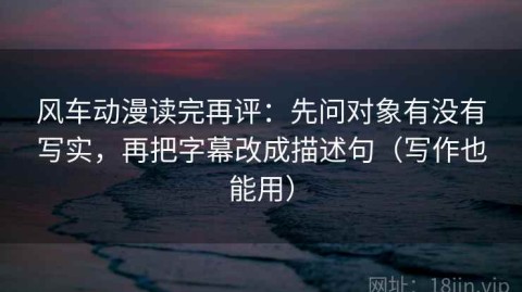 风车动漫读完再评：先问对象有没有写实，再把字幕改成描述句（写作也能用）