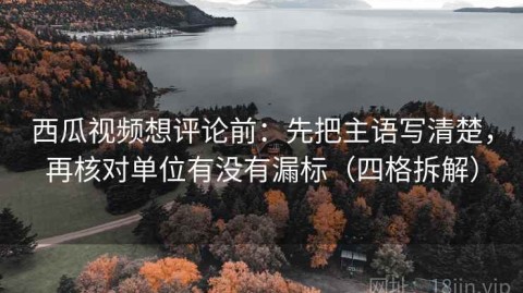 西瓜视频想评论前：先把主语写清楚，再核对单位有没有漏标（四格拆解）