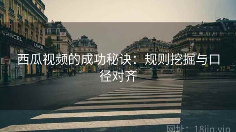 西瓜视频的成功秘诀：规则挖掘与口径对齐