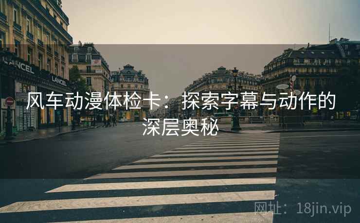 风车动漫体检卡：探索字幕与动作的深层奥秘