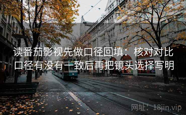读番茄影视先做口径回填：核对对比口径有没有一致后再把镜头选择写明