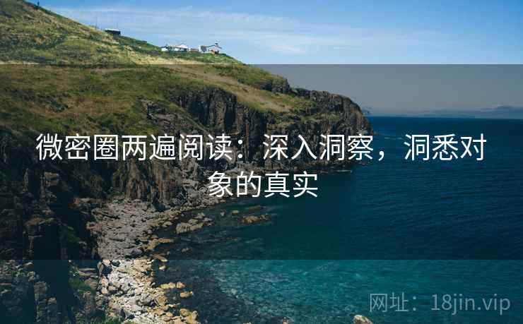微密圈两遍阅读：深入洞察，洞悉对象的真实