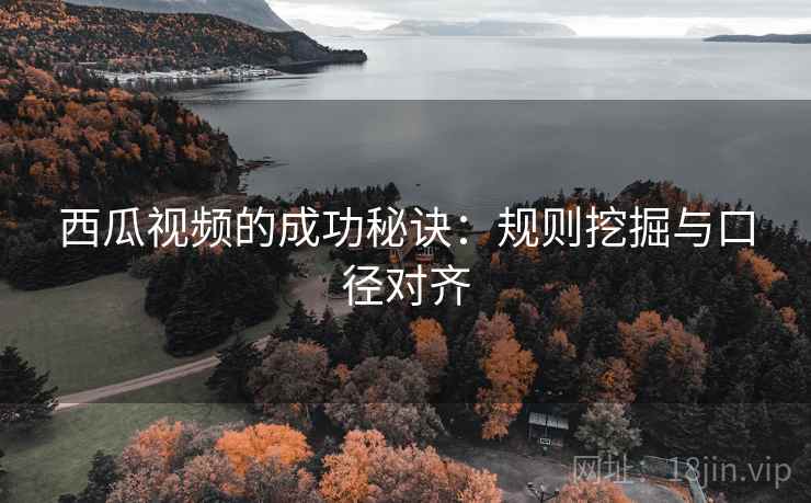 西瓜视频的成功秘诀：规则挖掘与口径对齐