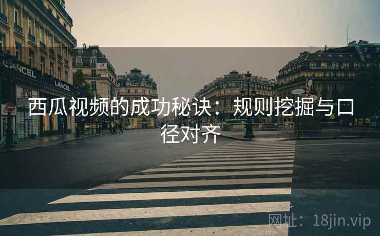 西瓜视频的成功秘诀：规则挖掘与口径对齐