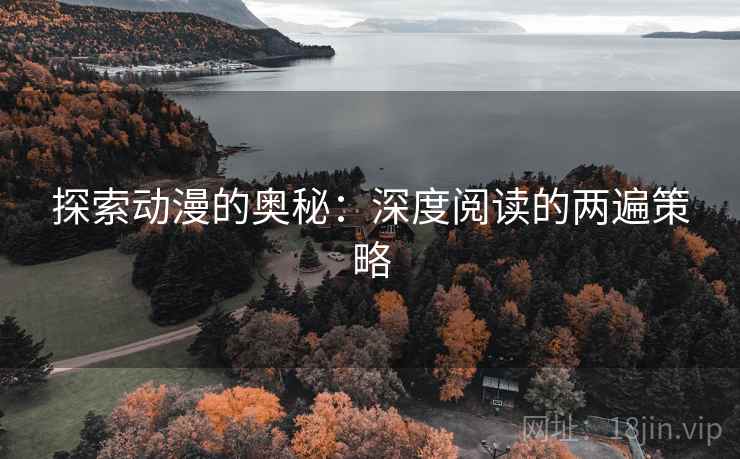 探索动漫的奥秘：深度阅读的两遍策略